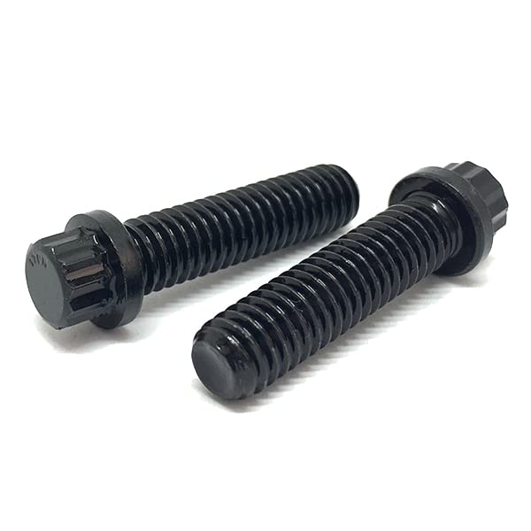 12 Point Flange Bolts